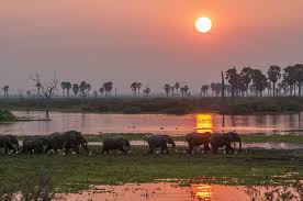 3-DAY SAFARI TO NYERERE NATIONAL PARK